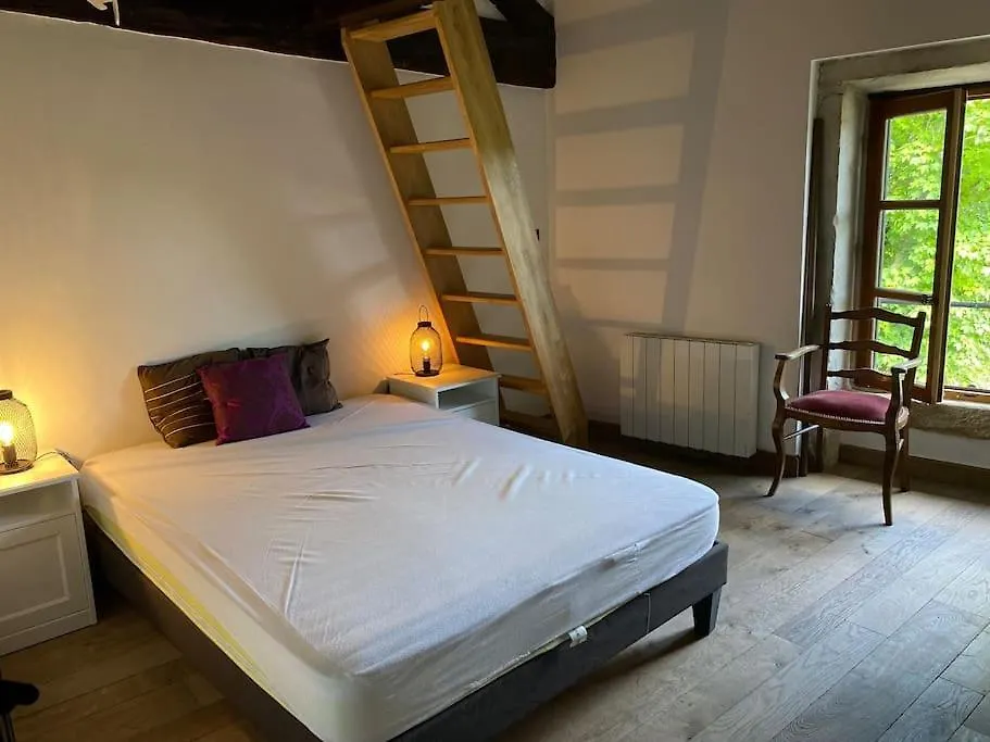 Chateau Frontonas Gite Ferme