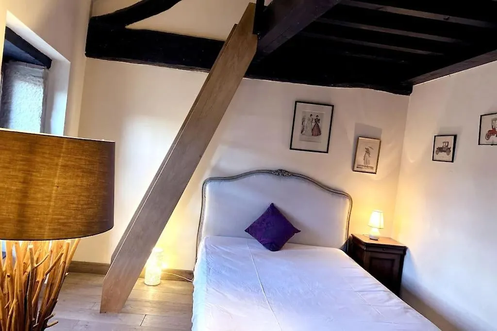 Chateau Frontonas Gite Ferme 0*,  France