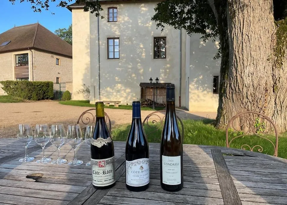 Chateau Frontonas Gite Ferme Holiday home